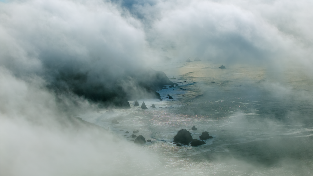 Fog In the Wild