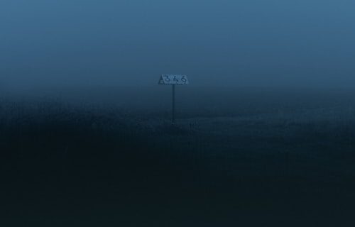 Fog In the Wild