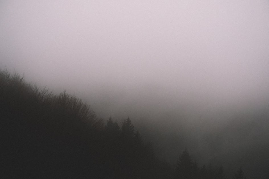 Fog In the Wild
