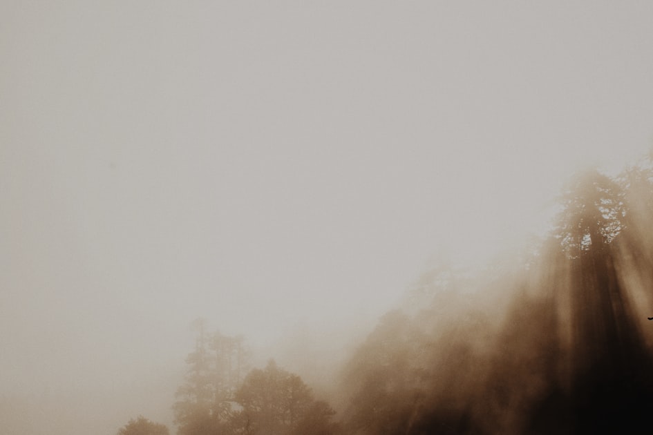 Fog In the Wild