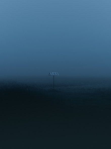 Fog In the Wild