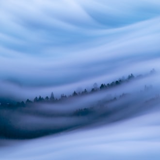 Fog in the Wild